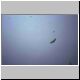 PCD22 022_3A.jpg